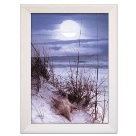 "The Seashore" By John Jones; Printed Wall Art; Ready To Hang Framed Poster; White Frame