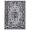 Premium Sakarya Traditional Medallion Area Rug