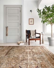 Layla Printed Oriental Distressed Area Rug (size: 5'-0"x7'-6")