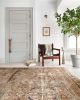 Layla Printed Oriental Distressed Area Rug