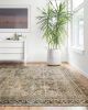 Layla Printed Oriental Distressed Area Rug